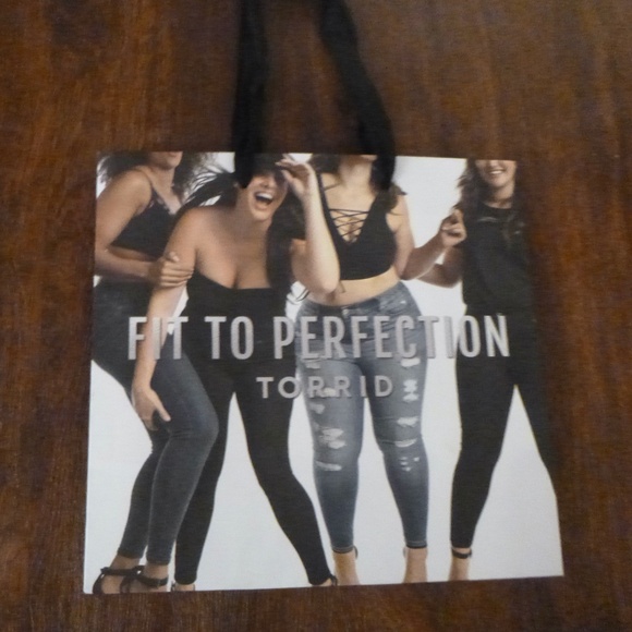 TORRID FIT TO PERFECTION PAPER GIFT SHOPPING BAG - Picture 1 of 6